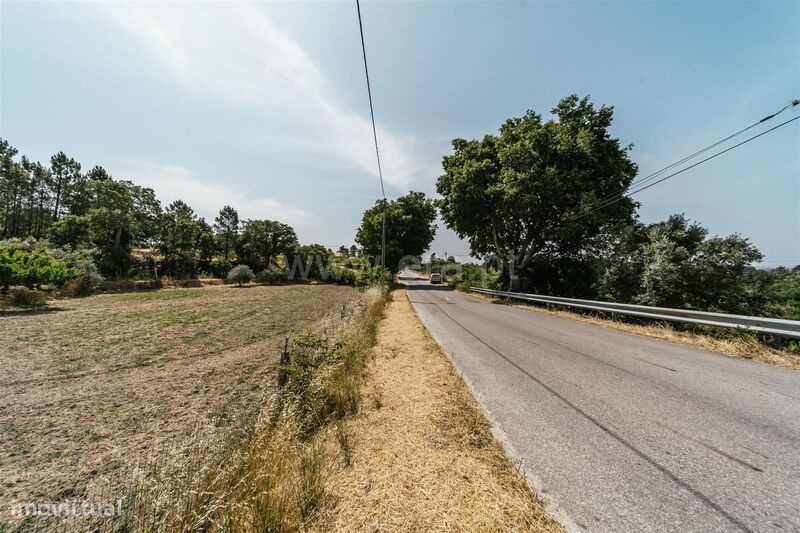 Terreno Rústico / Fundão, Vale Prazeres