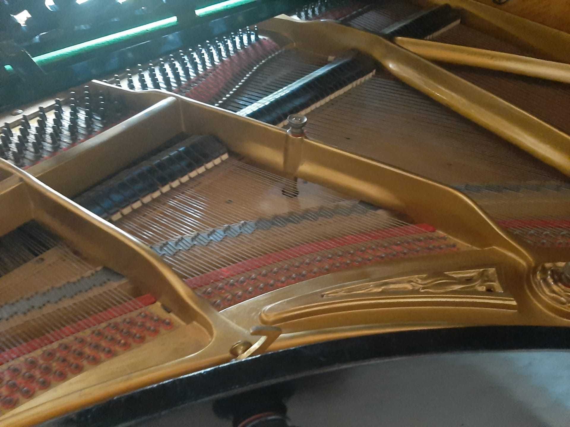 Piano Ibach esplendido