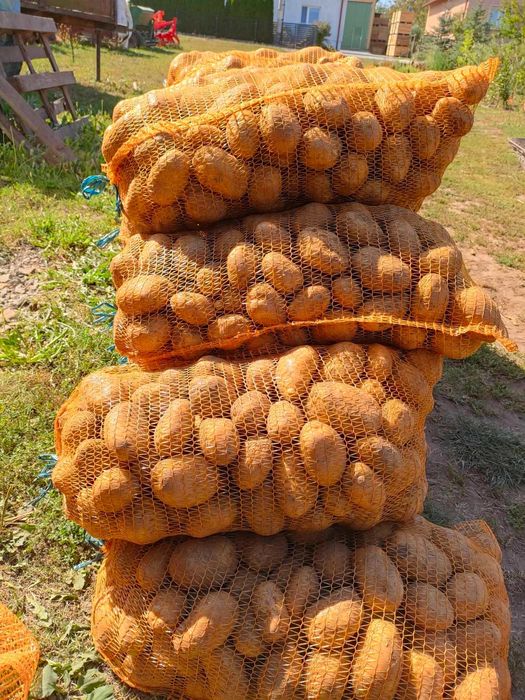 Ziemniaki Soraya jadalne