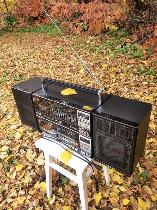 Panasonic RX - CW 200 L