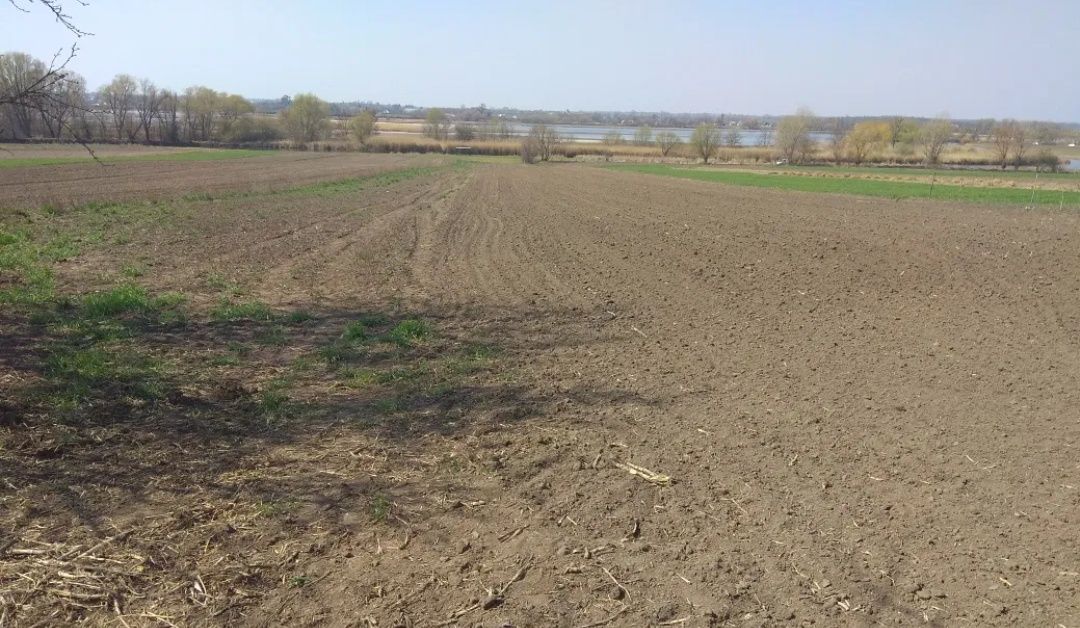 Продажа земельного пая