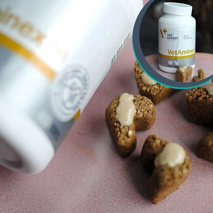 Preparat dla psów i kotów witaminy minerał Vet Expert Vetaminex 60 x 2