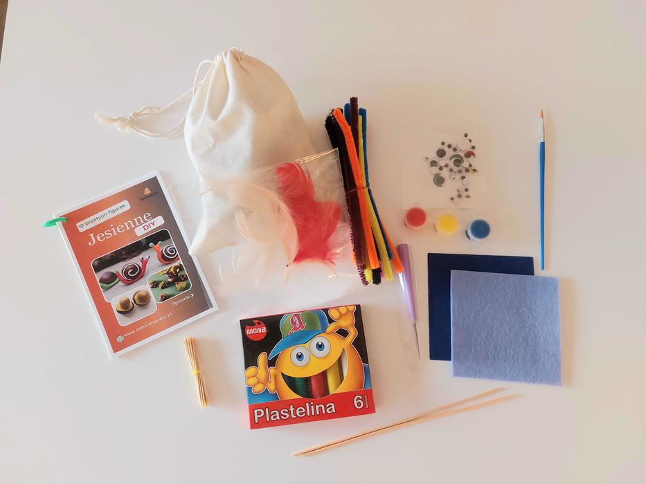 Zestaw DIY - kreatywne figurki z kasztanów. Świeże kasztany w zestawie