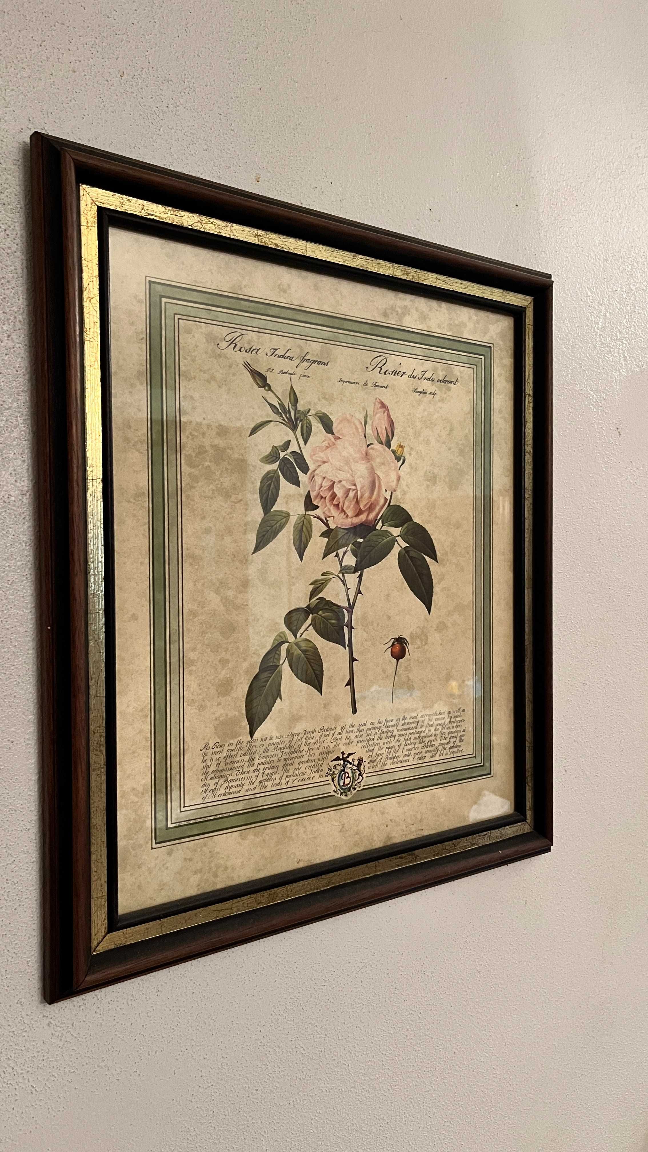 Quadro antigo 47cm x 74cm - Litografias rosas