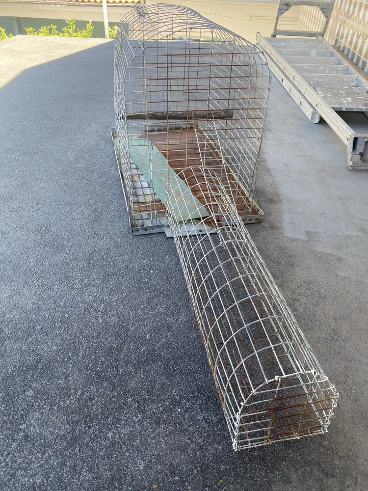 Gaiola para Melros