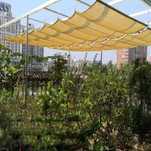 Toldo retráctil ondulado - 2x5m - NOVO!