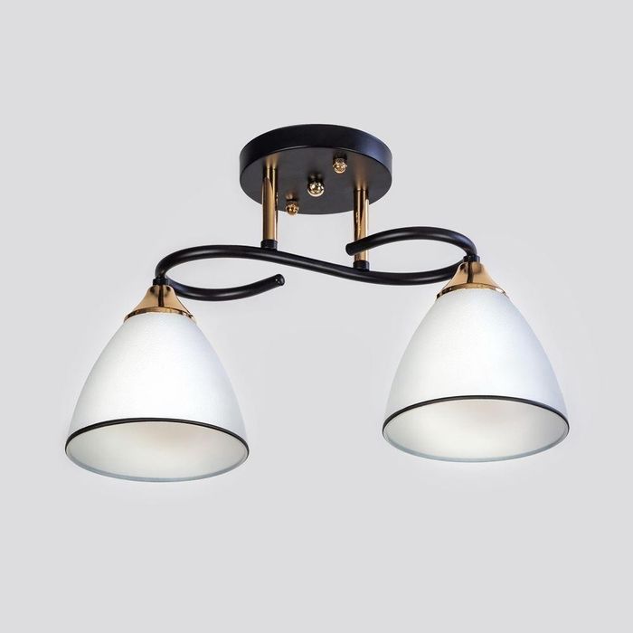 Люстры на 2 плафона