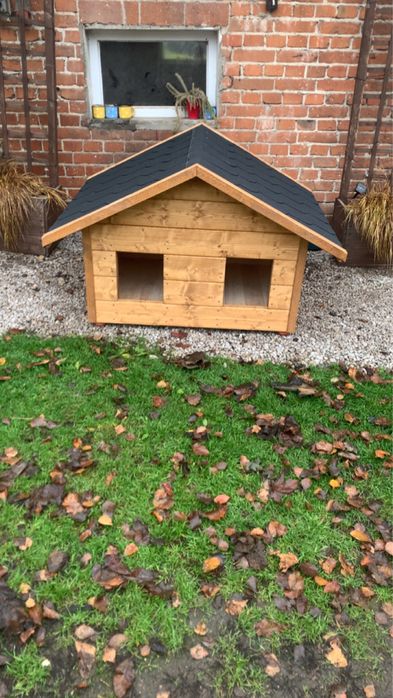 Buda dla psa na wymiar