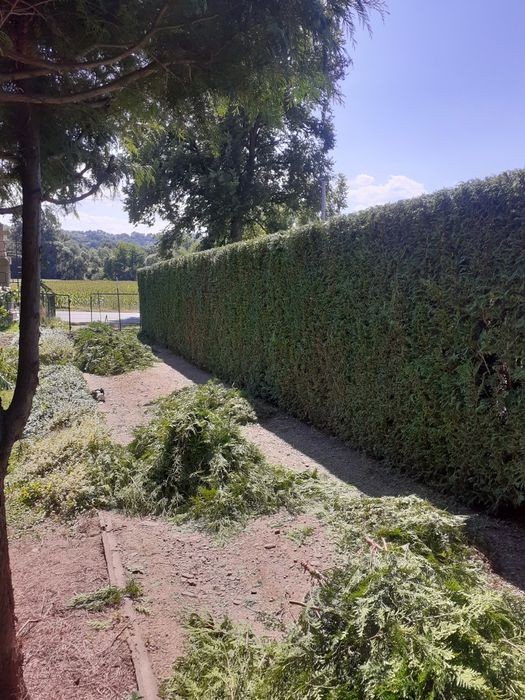 Koszenie, wycinka drzew, czyszczenie działek, pielęgnacja ogrodu