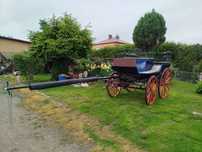 Bryczka wagonetka