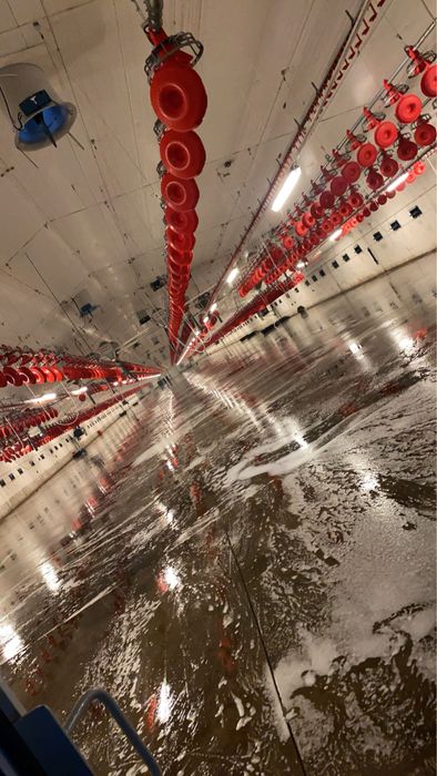 Mycie Fotowoltaiki kurnika chlewni obory bielenie nacinanie ruszt