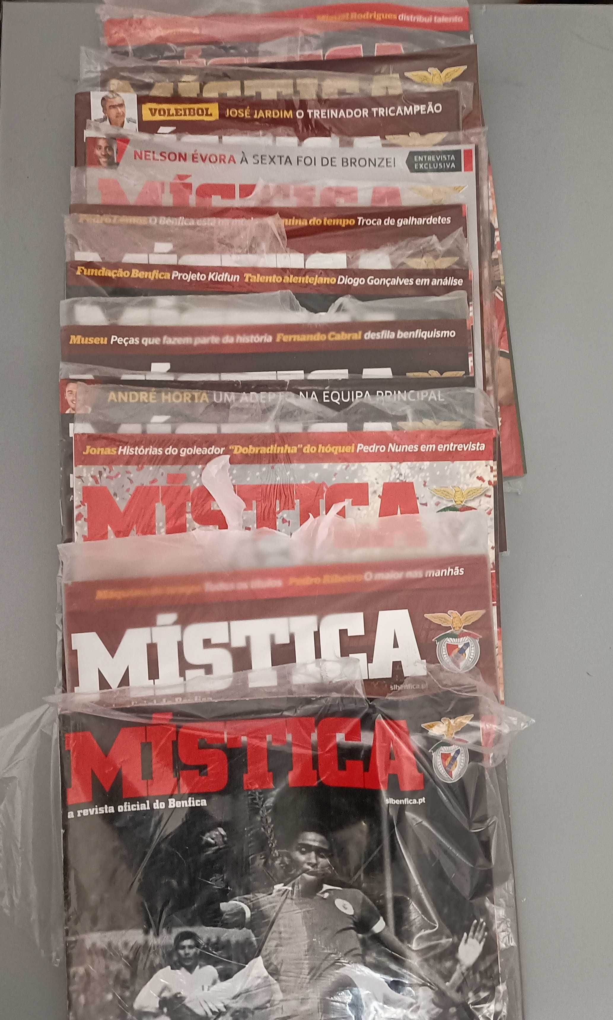 Mística SLB todas 10€