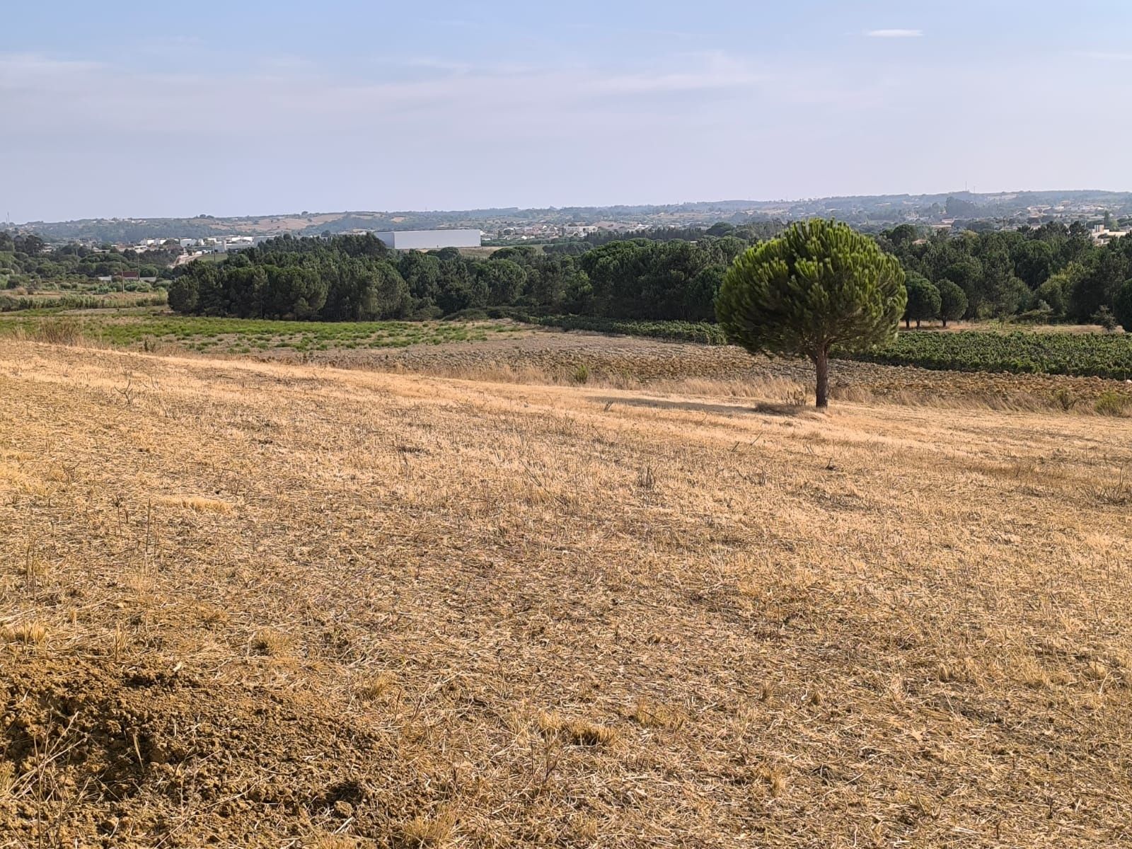 Terreno para Quintinha