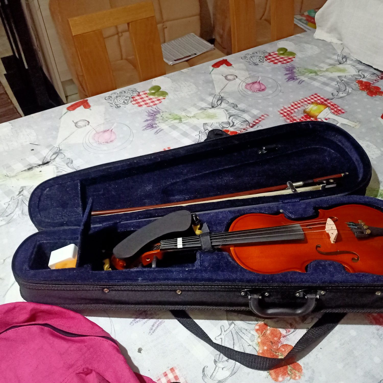 Acordeão 3 voze como novo ,violino,guitarra parrot,piano yamaha