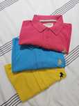 5 polos de diversas cores e marcas