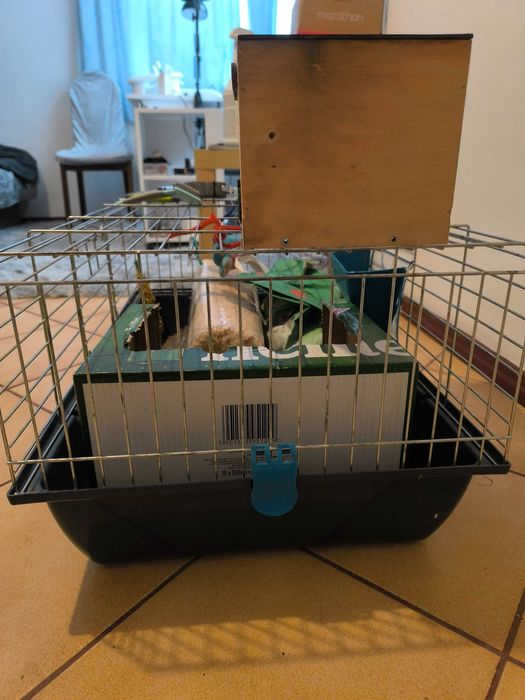 Klatka dla zwierząt