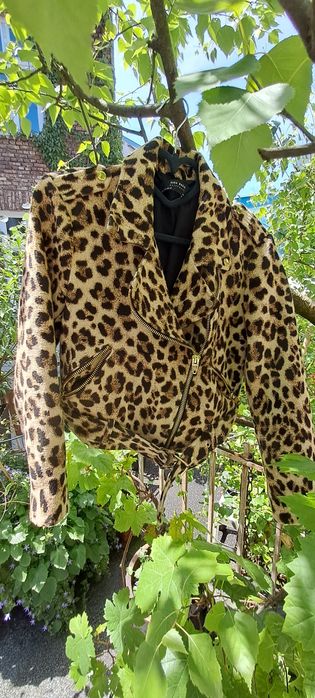 Косуха Zara. Леопард