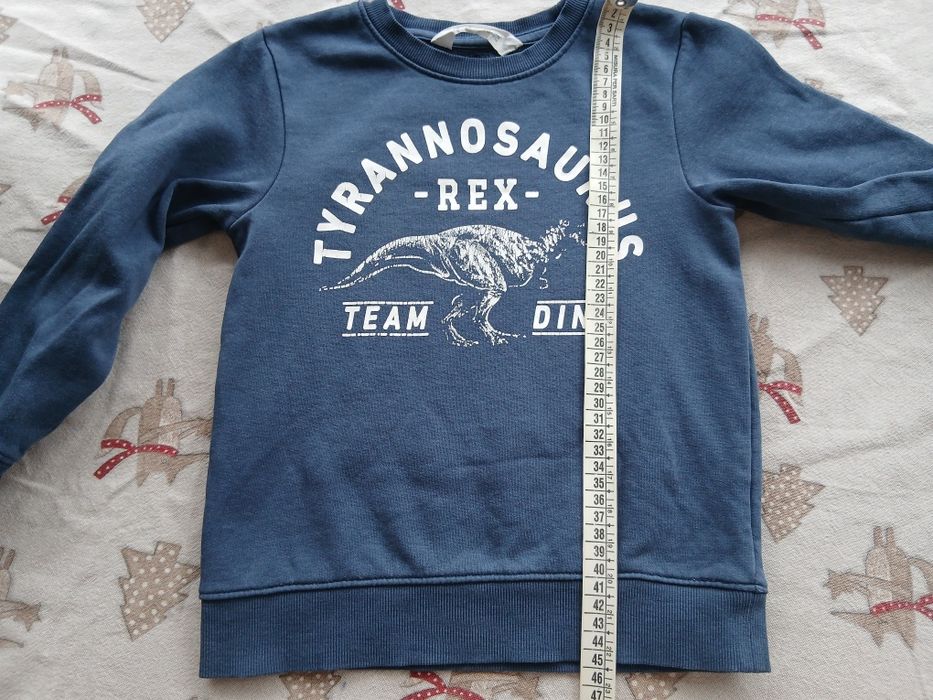 Світшот H&M з динозавром, кофта, кофтина для хлопчика 110-116