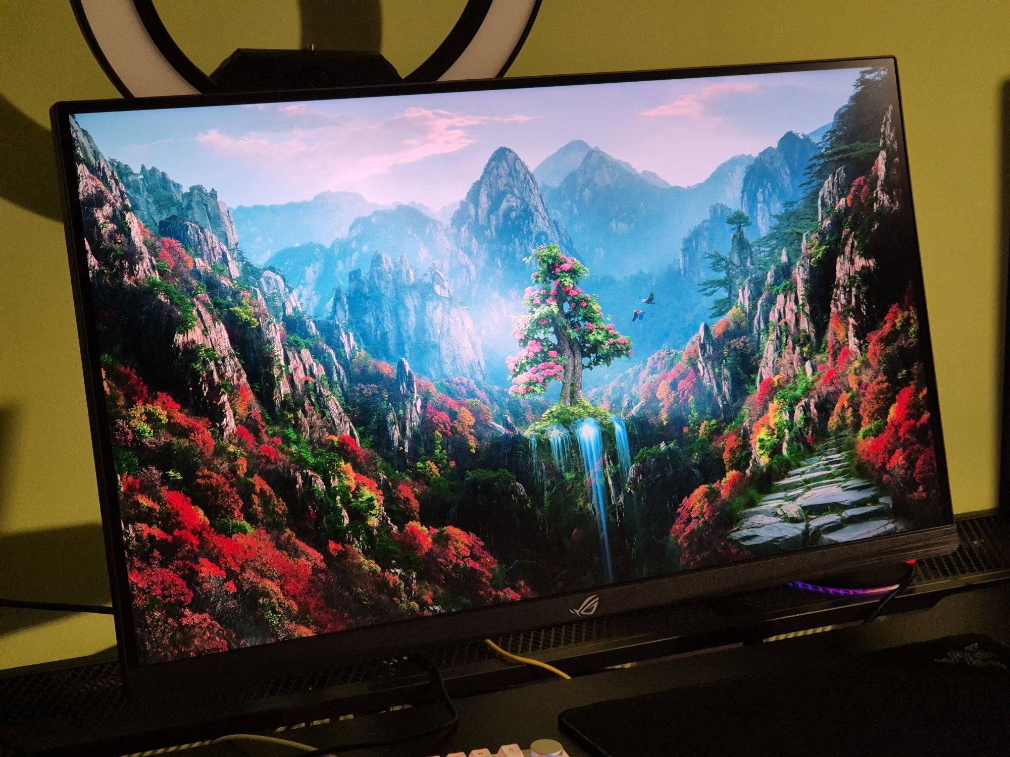 Monitor ASUS ROG PG279QM 1440p 240Hz Fast IPS (komplet, paragon)