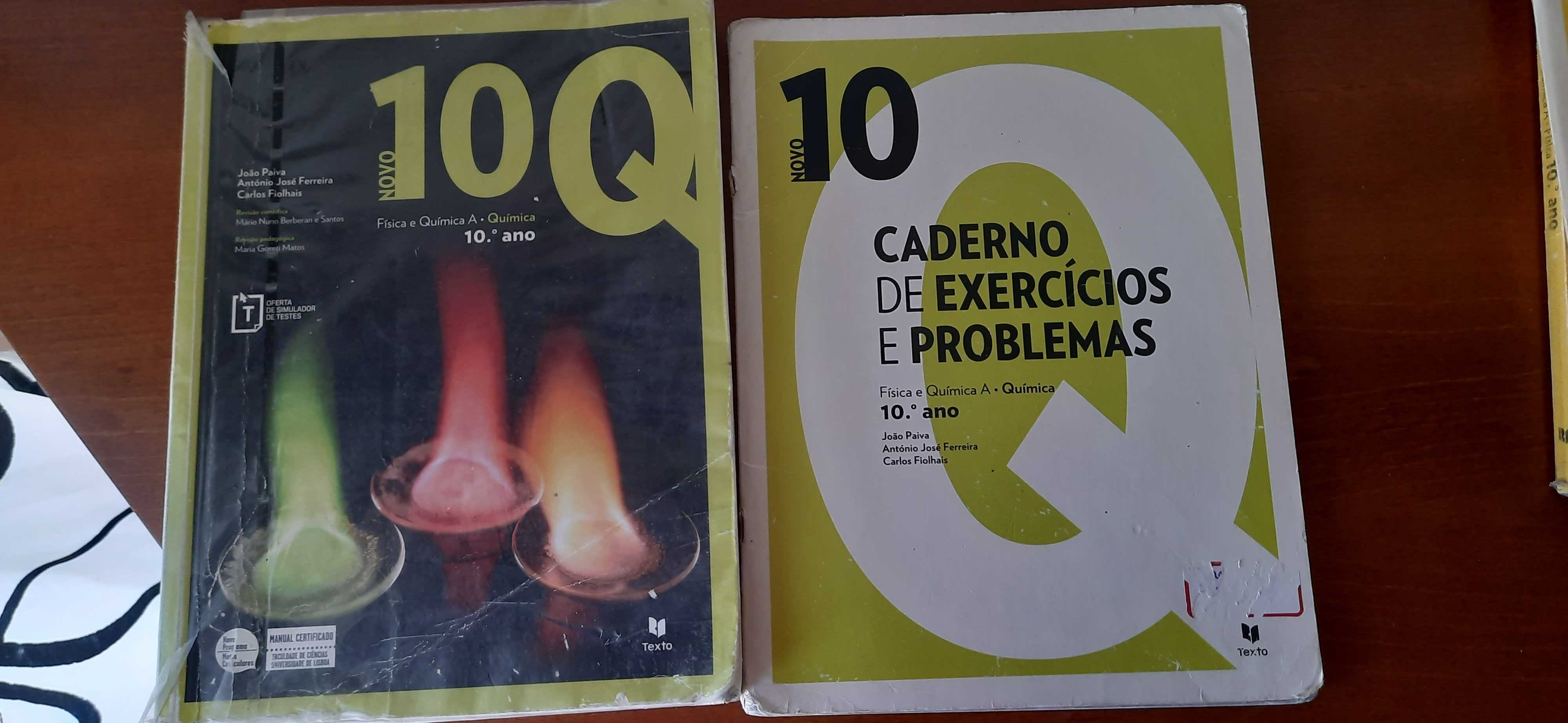 Manual e caderno de atividades Novo 10Q