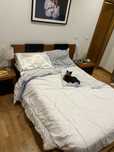 Cama em madeira Faia + mesinhas cabeceira