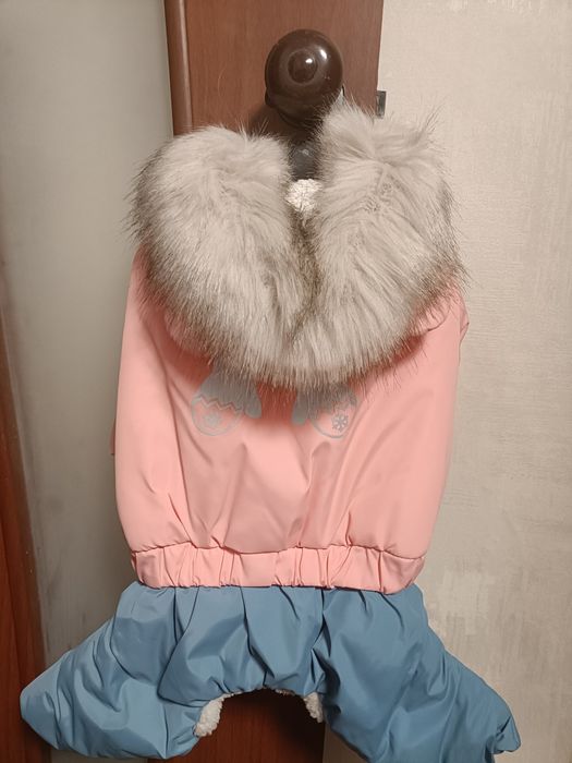 Костюм для собачки