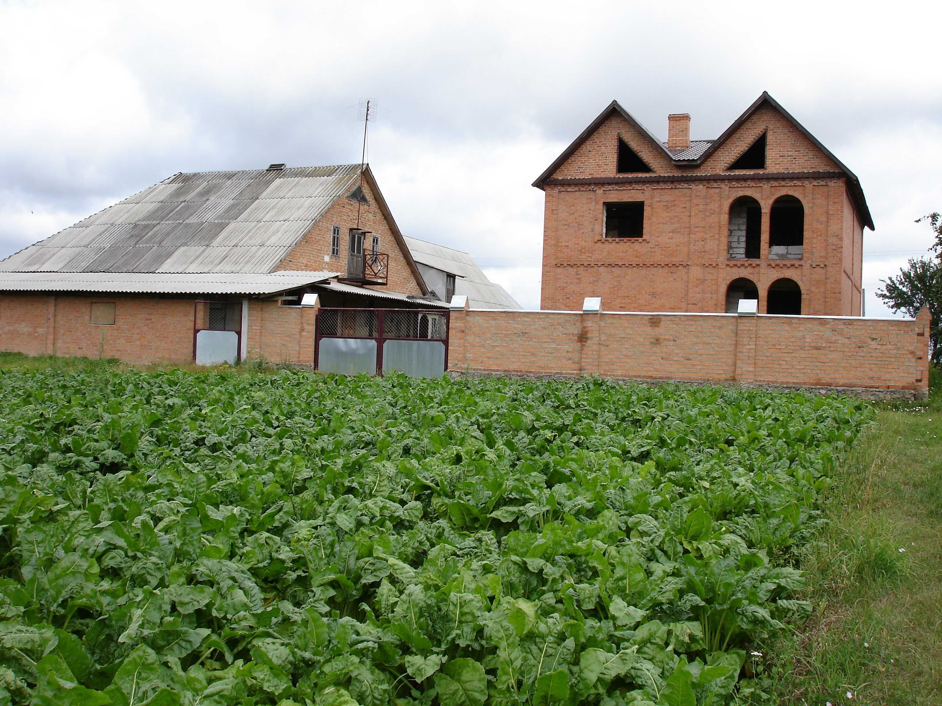 Продаж будинку с.Колодяжне, гарний  великий будинок