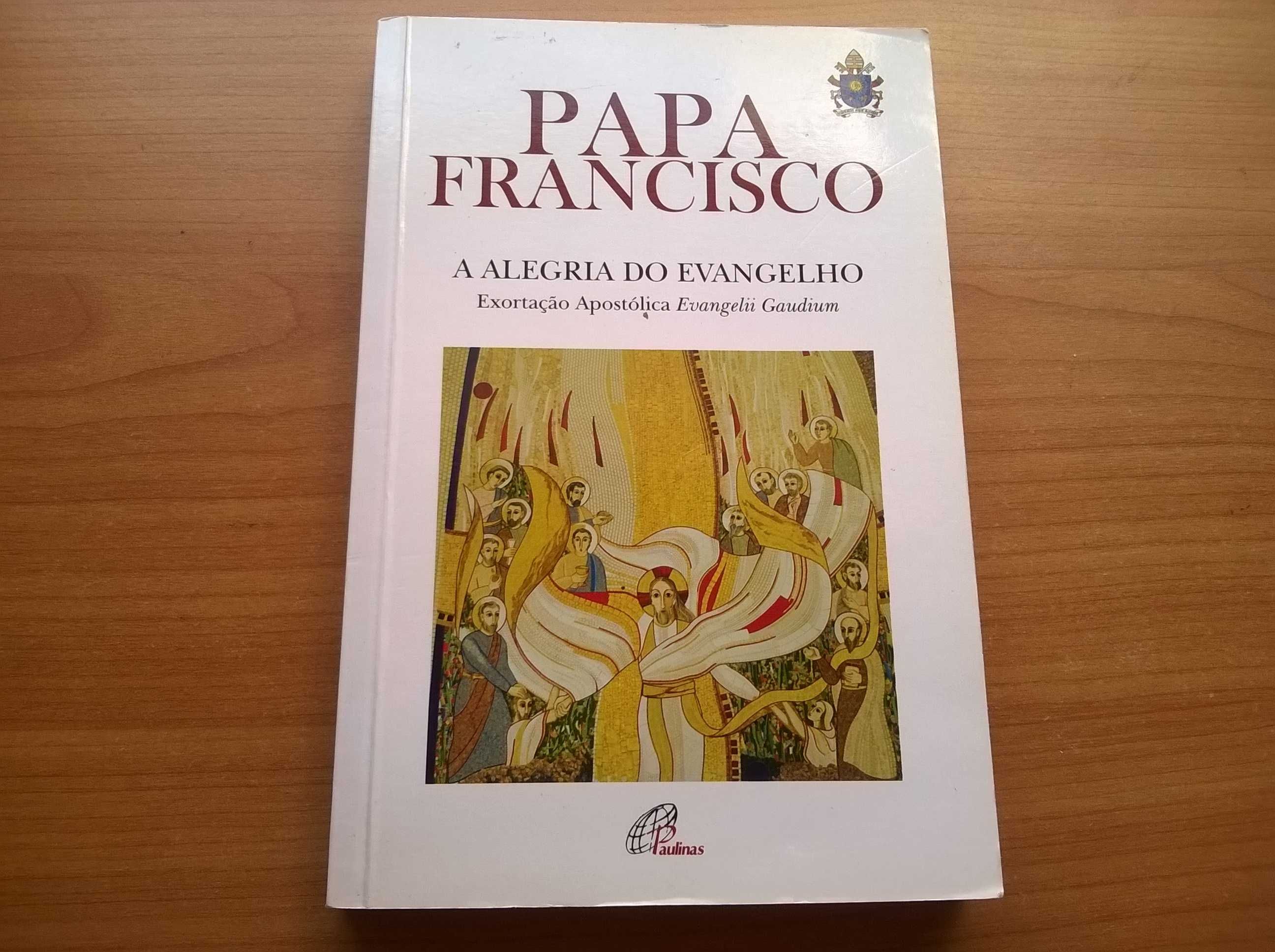 Papa Francisco - A Alegria do Evangelho
