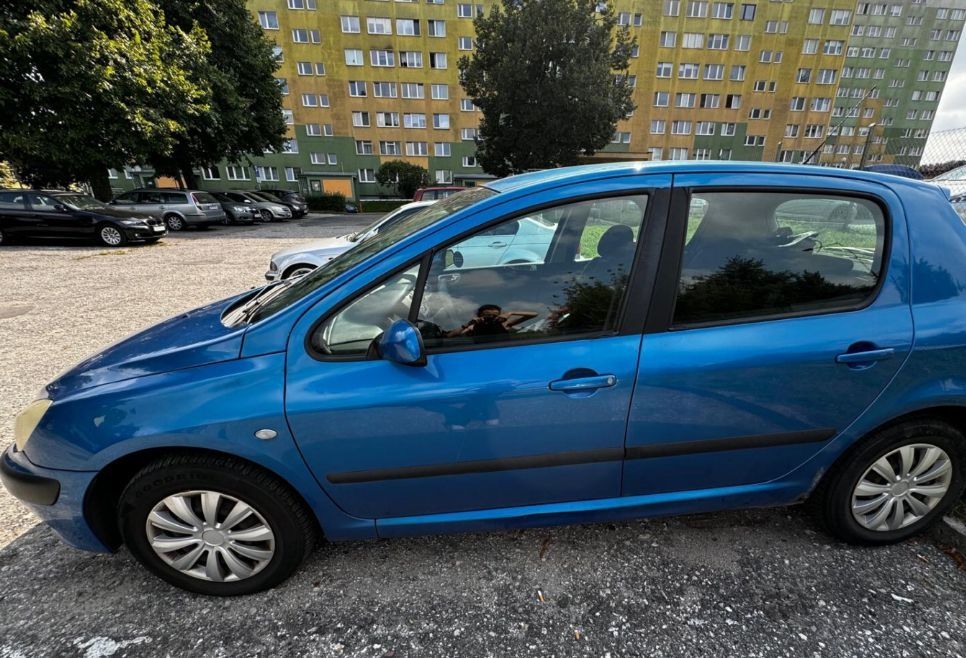 Peugeot 307 1.6hdi