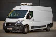 BUS CHŁODNIA WYNAJEM Fiat Ducato l3h2 (izoterma+agregat)