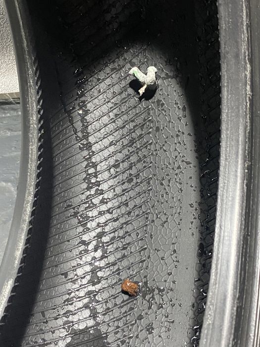 ‼️ЗИМОВА РЕЗИНА‼️ Barum • 195/65 R15 АРТ:495