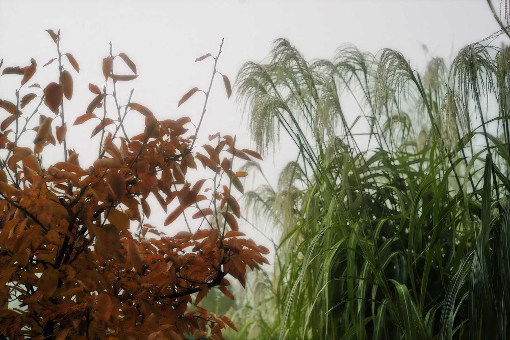 "Czarna piękność"- Konica FT1-motor+Hexanon 57/1.2+++zestaw