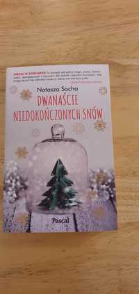 12 niedokończonych snow