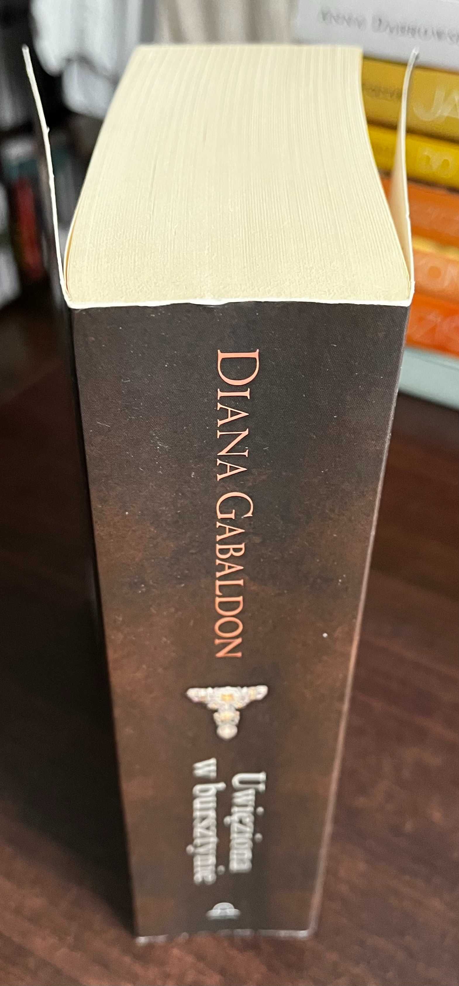 Diana Gabaldon - Uwięziona w bursztynie