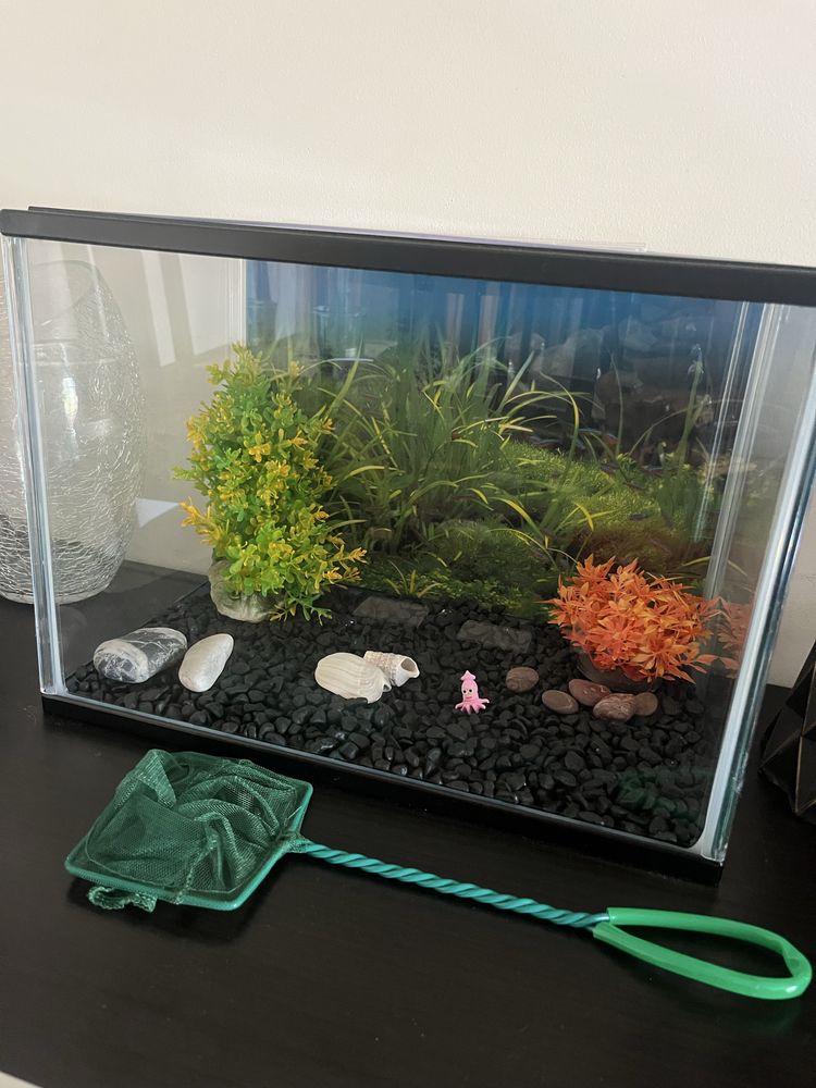 Aquario retangular 20 litros