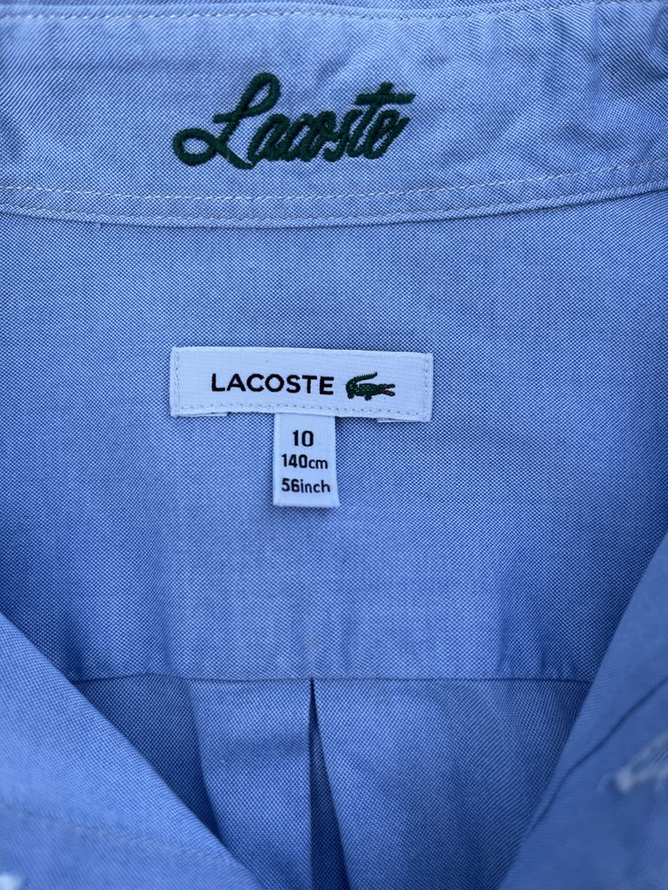 Elegancka koszula Lacoste