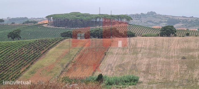 Terrenos Urbanos + Terreno Rustico