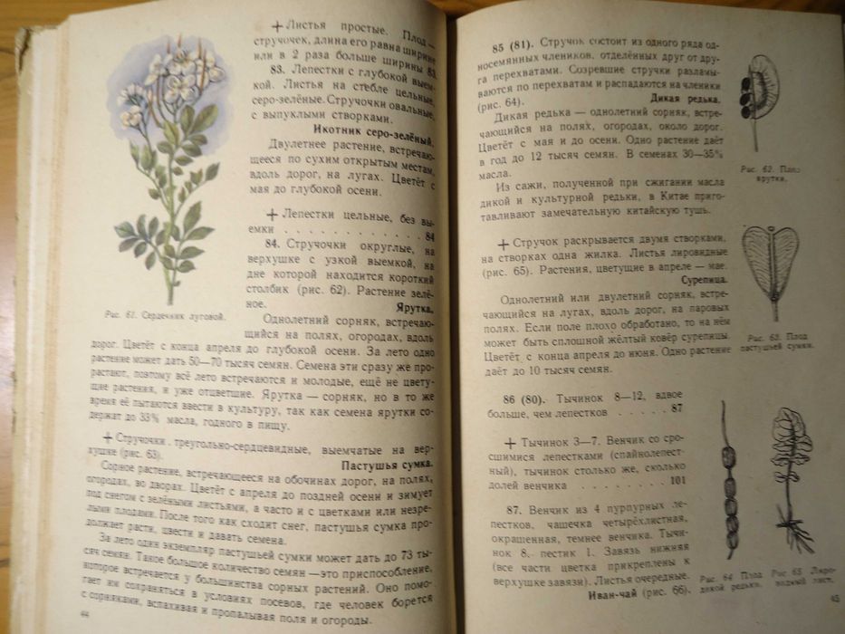 И.В. Иванова - Что растет вокруг тебя