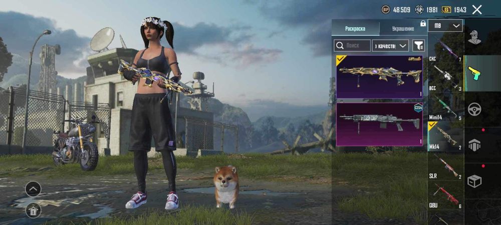 PUBG mobile Account