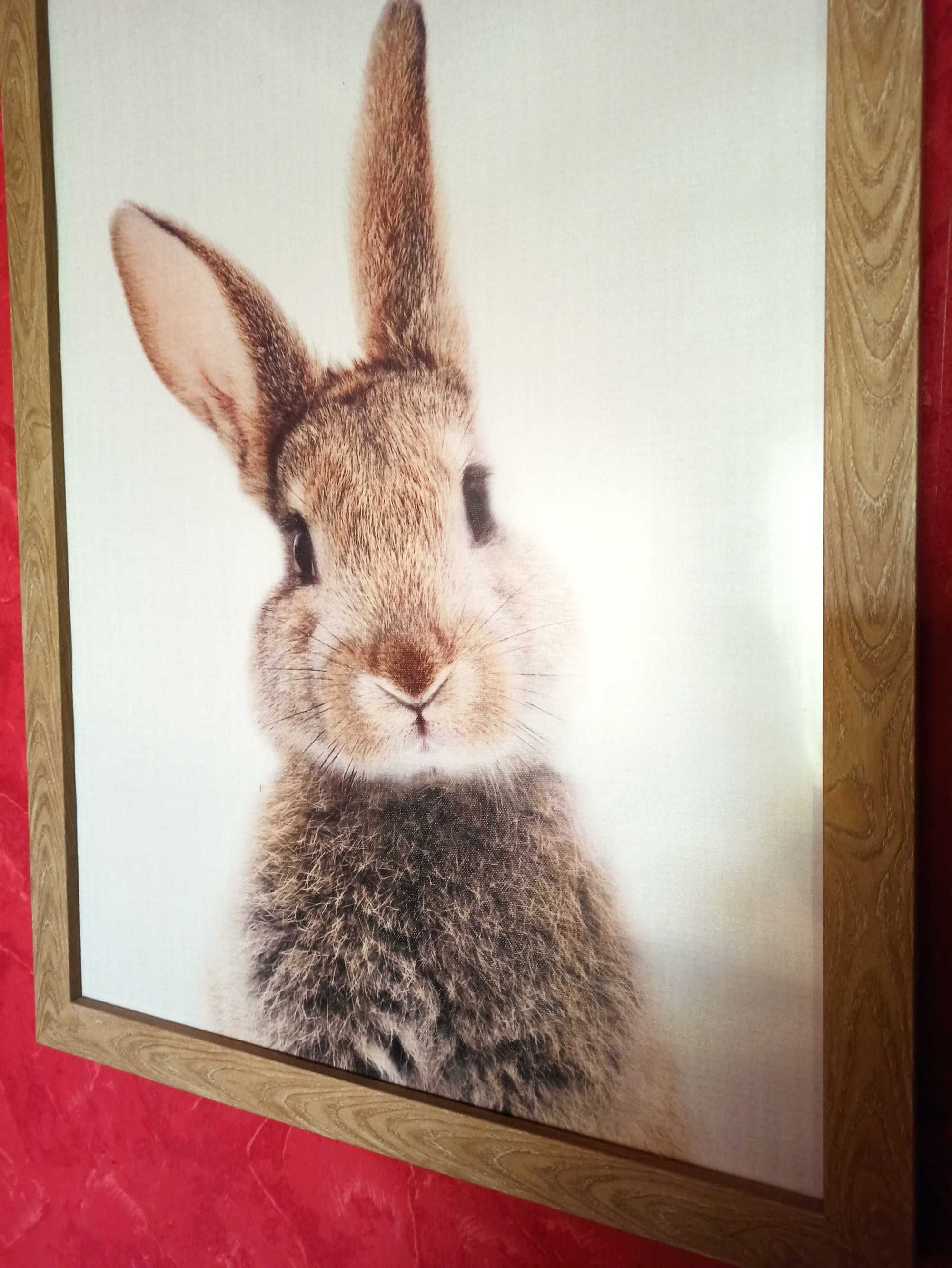 Картина Кролики Зайки Зайцы Дуплет