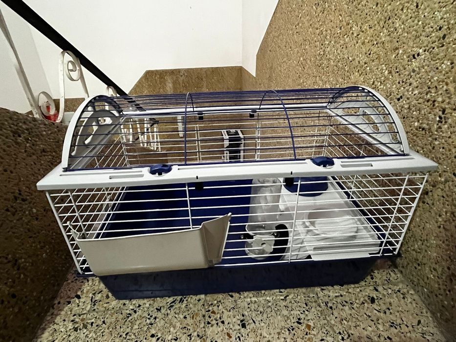 Gaiola porquinho da india