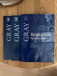 Anatomia Gray pytania testowe