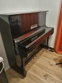 Pianino koncertowe Rud Ibach Sohn z 1904 roku nr 49990.