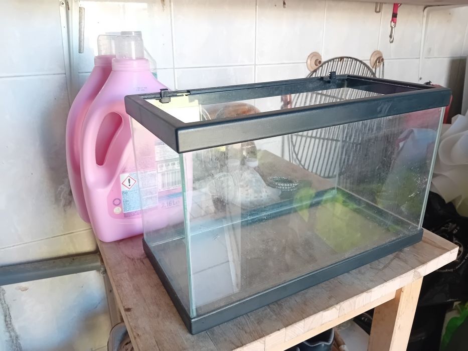 Aquario  pequeno