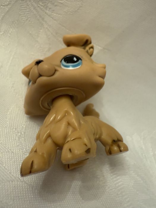 Littlest Pet shop collie LPS #893 piesek collie dog z 2007