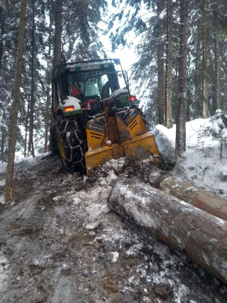 Drzewo na pniu, pozyskanie, las, zrywka