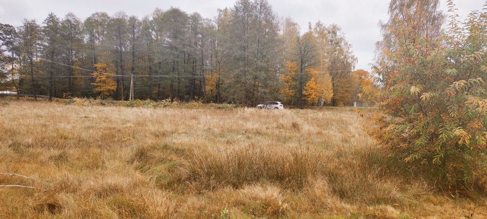 Sprzedam działkę budowlaną w Kozicach, gmina Garwolin, woj.mazowieckie