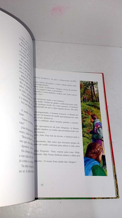 A História de Robin dos Bosques