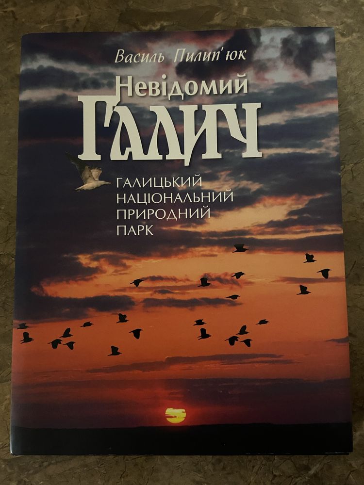 Книга «Невідомий Галич» Василь Пилипʼюк