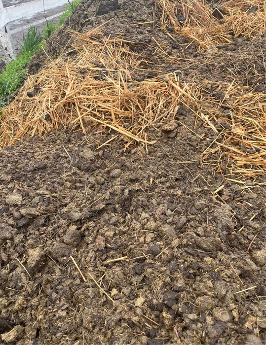 Obornik konski workowany